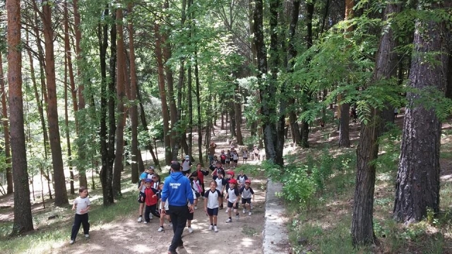 Excursion en el bosque.jpg
